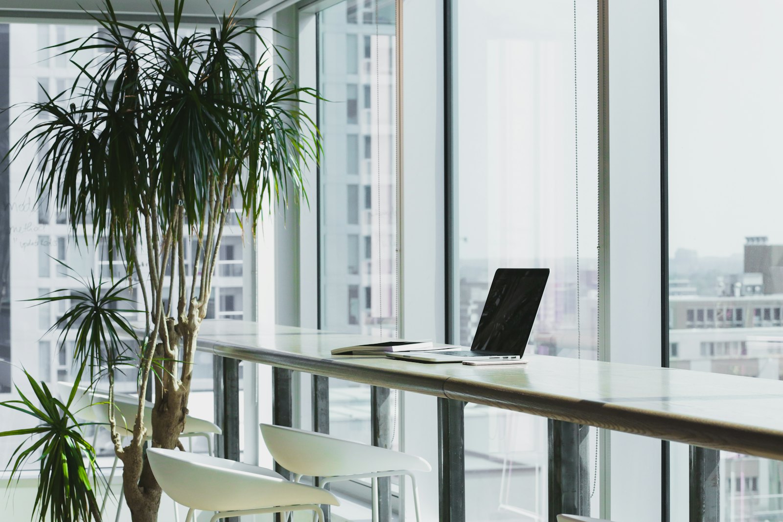 Calm minimal workspace by a sunlit window with a plant and city view